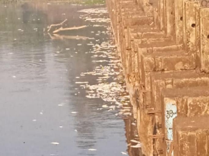 Factories in the area are responsible for dead fish in the Panchganga riverbed in Kolhapur, researchers conclude | Kolhapur News: पंचगंगा नदीपात्रातील मृत माशांमागे परिसरातील कारखानेच, अभ्यासकांचा निष्कर्ष Factories in the area are responsible for dead fish in the Panchganga riverbed in Kolhapur, researchers conclude | Kolhapur News: पंचगंगा नदीपात्रातील मृत माशांमागे परिसरातील कारखानेच, अभ्यासकांचा निष्कर्ष