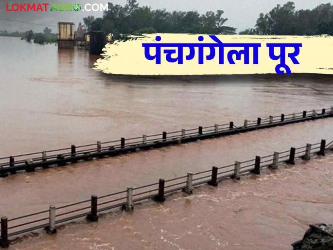 In Kolhapur, due to heavy rainfall in the dam area, the level of rivers has risen rapidly | कोल्हापूर जिल्ह्यात धरणक्षेत्रात जोरदार पाऊस नद्यांच्या पातळीत झपाट्याने वाढ In Kolhapur, due to heavy rainfall in the dam area, the level of rivers has risen rapidly | कोल्हापूर जिल्ह्यात धरणक्षेत्रात जोरदार पाऊस नद्यांच्या पातळीत झपाट्याने वाढ