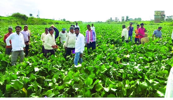 Panchganga river stolen: Rejected by police to get approval from Rukhi villagers | पंचगंगा नदी चोरीला : रुकडी ग्रामस्थांचे निवेदन -तक्रार घेण्यास पोलिसांकडून नकार