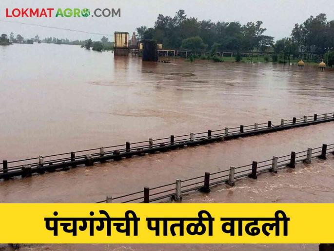 In Kolhapur these four taluks exceeded the June average, increasing the water level of the Panchganga river | कोल्हापूरात या चार तालुक्यांनी जूनची सरासरी ओलांडली, पंचगंगेच्या पाणी पातळीत वाढ In Kolhapur these four taluks exceeded the June average, increasing the water level of the Panchganga river | कोल्हापूरात या चार तालुक्यांनी जूनची सरासरी ओलांडली, पंचगंगेच्या पाणी पातळीत वाढ