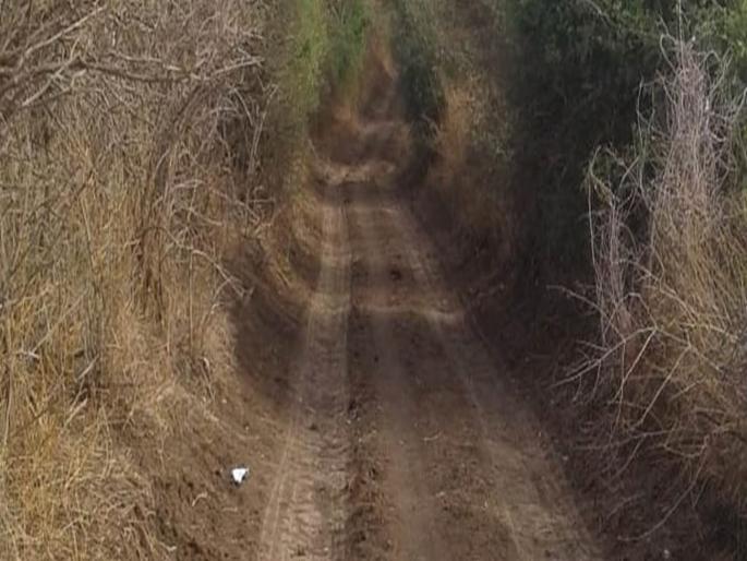 Panand roads now have maps and property records; Maps will be prepared under the ownership scheme with the help of GIS | पाणंद रस्त्यांना आता नकाशा अन् मालमत्ता पत्रिकाही;जीआयएसच्या मदतीने स्वामित्व योजनेत नकाशा तयार होणार Panand roads now have maps and property records; Maps will be prepared under the ownership scheme with the help of GIS | पाणंद रस्त्यांना आता नकाशा अन् मालमत्ता पत्रिकाही;जीआयएसच्या मदतीने स्वामित्व योजनेत नकाशा तयार होणार