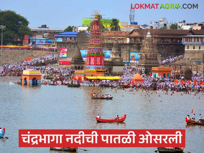 And finally the threat of flood on the Wari was averted; the level of the Chandrabhaga river receded. | अन् अखेर वारीवरील पुराचा धोका टळला; चंद्रभागा नदीची पातळी ओसरली