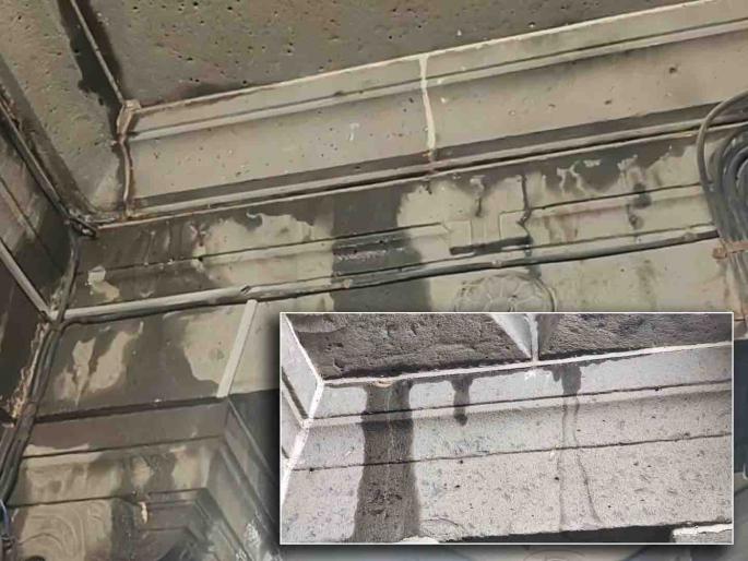 due to eavy rain in pandharpur city vitthal rukmini temple is leaking everywhere | पंढरपूर शहरात जोरदार पाऊस; विठ्ठल-रूक्मिणी मंदिरात ठिकठिकाणी गळती due to eavy rain in pandharpur city vitthal rukmini temple is leaking everywhere | पंढरपूर शहरात जोरदार पाऊस; विठ्ठल-रूक्मिणी मंदिरात ठिकठिकाणी गळती