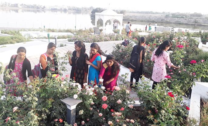 Want to see beautiful tulsi rainbow in Pandharpur? Five for children and three for children | पंढरपुरातील सुंदर तुळशीवृंदावन पाहायचंय..? मोठ्यांसाठी पाच तर बालकांसाठी तीन रूपये Want to see beautiful tulsi rainbow in Pandharpur? Five for children and three for children | पंढरपुरातील सुंदर तुळशीवृंदावन पाहायचंय..? मोठ्यांसाठी पाच तर बालकांसाठी तीन रूपये