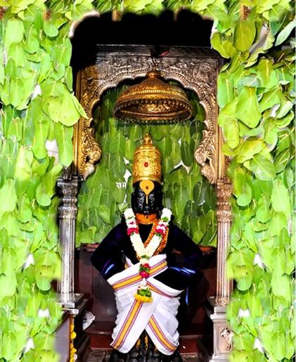 Hanumanta's favorite cotton wool lamps for Vituraya! | हनुमंताची आवडती रूई विठूरायासाठी सजली !