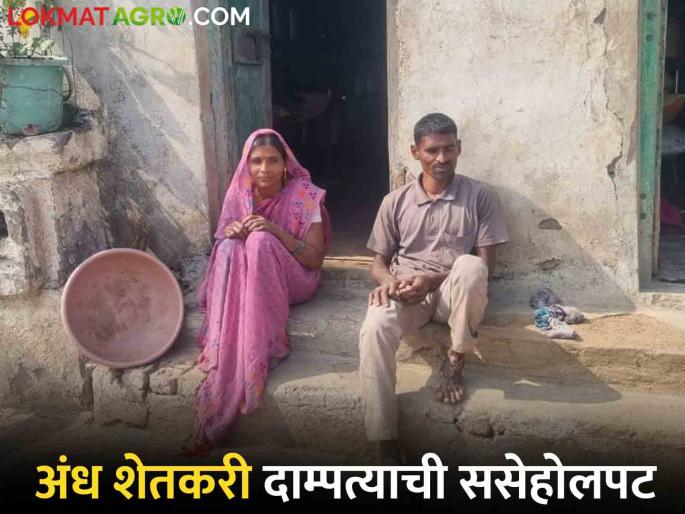Latest news blind farmer couple in Niphad taluka waiting for government assistance | Agriculture News : 'शासन आपल्या दारी येईल' अशी आशा, मात्र अंध शेतकरी दाम्पत्याची ससेहोलपट Latest news blind farmer couple in Niphad taluka waiting for government assistance | Agriculture News : 'शासन आपल्या दारी येईल' अशी आशा, मात्र अंध शेतकरी दाम्पत्याची ससेहोलपट