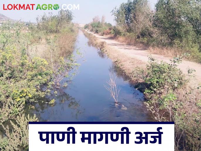 Latest News Agriculture News These documents are required while submitting water demand application, appeal to farmers | Agriculture News : पाणी मागणी अर्ज सादर करताना 'ही' कागदपत्रे आवश्यक, शेतकऱ्यांना आवाहन 