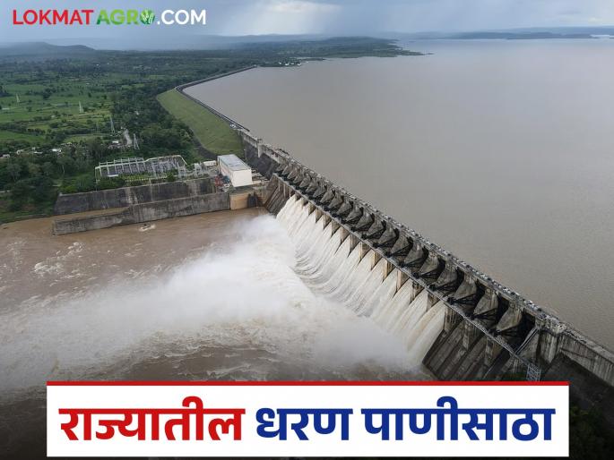Latest News dam Storage 29 major dams in the state are maharashtra 100 percent full, read water storage till September 22 | Maharashtra Dam Storage : राज्यातील 'ही' 29 मोठी धरणे 100 टक्के भरली, वाचा 22 सप्टेंबरपर्यंतचा पाणीसाठा 