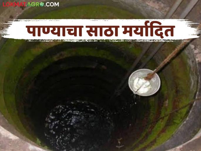 Water Issue: Water resources are limited, the problem of erosion is becoming serious. Read in detail | Water Issue : पाण्याचा साठा मर्यादित; वैरणाची समस्या होत आहे गंभीर वाचा सविस्तर Water Issue: Water resources are limited, the problem of erosion is becoming serious. Read in detail | Water Issue : पाण्याचा साठा मर्यादित; वैरणाची समस्या होत आहे गंभीर वाचा सविस्तर