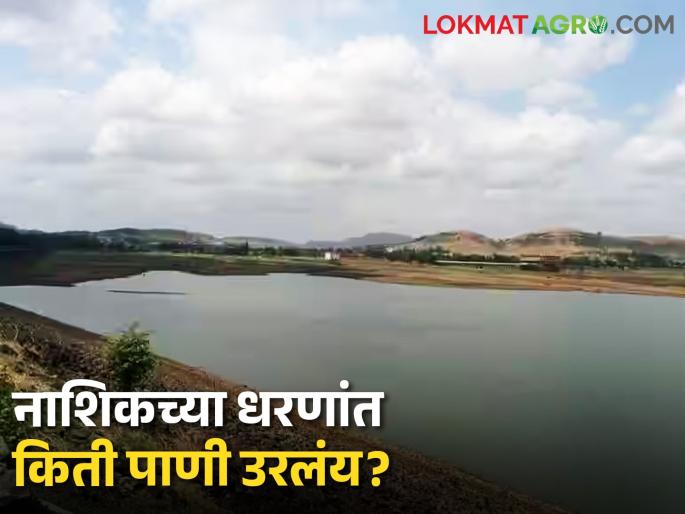 Latest News 20 percent water storage left in dams of Nashik district see details | Dam Storage : नाशिक जिल्ह्यातील धरणांत केवळ 20 टक्के पाणीसाठा शिल्लक, कुठे-किती पाणी? Latest News 20 percent water storage left in dams of Nashik district see details | Dam Storage : नाशिक जिल्ह्यातील धरणांत केवळ 20 टक्के पाणीसाठा शिल्लक, कुठे-किती पाणी?