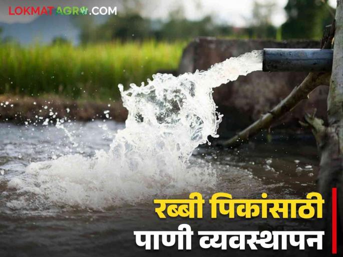 Latest News Crop Management Planning of water cycles for wheat, gram, maize crops, read in detail  | Crop Management : गहू, हरभरा, मका पिकासाठी पाण्याच्या पाळ्या किती आणि कधी द्याल? वाचा सविस्तर  Latest News Crop Management Planning of water cycles for wheat, gram, maize crops, read in detail  | Crop Management : गहू, हरभरा, मका पिकासाठी पाण्याच्या पाळ्या किती आणि कधी द्याल? वाचा सविस्तर
