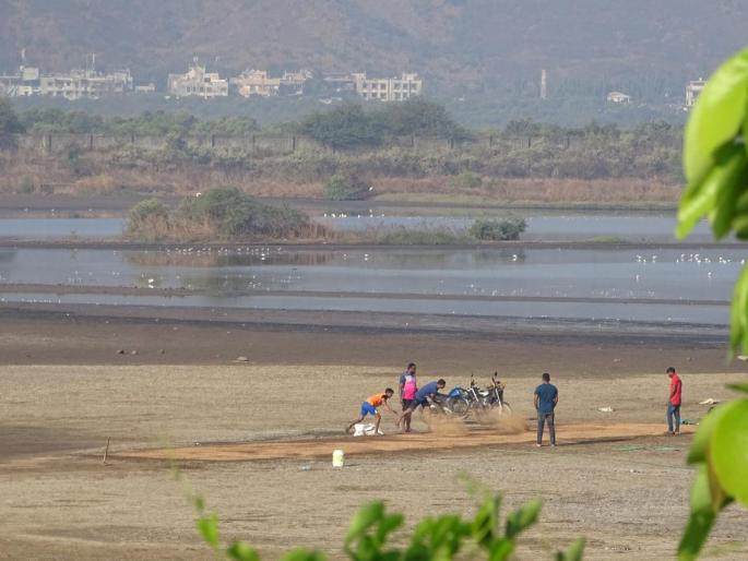 concrete project planned by cidco on 289 areas of panje watershed collector report confirmed | पांजे पाणथळीच्या २८९ क्षेत्रावर सिडकोद्वारे ’कॉंक्रिट’ प्रकल्पाची योजना: जिल्हाधिका-यांच्या अहवालात पुष्टी 