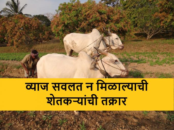 Farmers who pay loans on time deprived of interest rate waiver scheme, what is the case? | मुदतीत कर्ज भरणारे शेतकरी व्याजदरमाफी योजनेपासून वंचित, काय आहे प्रकरण? Farmers who pay loans on time deprived of interest rate waiver scheme, what is the case? | मुदतीत कर्ज भरणारे शेतकरी व्याजदरमाफी योजनेपासून वंचित, काय आहे प्रकरण?