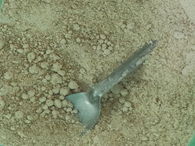 As soon as Shri Rama is born, the devotees get a panjiri in the form of Prasad; How to make? What is the significance? | श्रीरामाचा जन्म होताच भाविकांना मिळते प्रसादरूपी पंजिरी; कशी बनवतात? काय आहे महत्व ? As soon as Shri Rama is born, the devotees get a panjiri in the form of Prasad; How to make? What is the significance? | श्रीरामाचा जन्म होताच भाविकांना मिळते प्रसादरूपी पंजिरी; कशी बनवतात? काय आहे महत्व ?