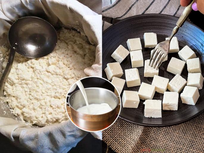 Homemade creamy paneer recipe Soft paneer like dairy at home Perfect soft paneer simple trick | कोण म्हणतं घरी मऊ घट्ट पनीर करता येत नाही? पाहा ‘ही’ परफेक्ट पद्धत, पनीर बिघडणारच नाही