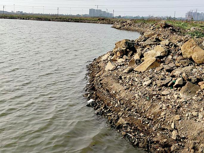 Crimes against officers of Special Economic Zones | विशेष आर्थिक क्षेत्राच्या पदाधिकाऱ्यांवर गुन्हे दाखल Crimes against officers of Special Economic Zones | विशेष आर्थिक क्षेत्राच्या पदाधिकाऱ्यांवर गुन्हे दाखल