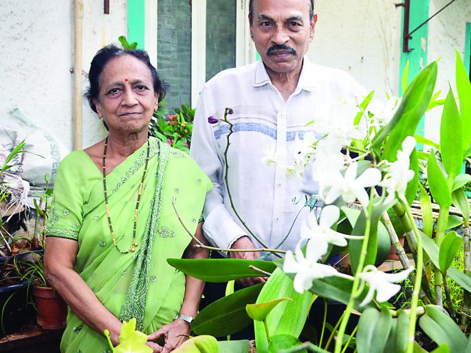 The use of Panvalkar of Ratnagiri, the tonnage made from the trash except for the plastics | रत्नागिरीतील पानवलकर यांचा प्रयोग, प्लास्टिक वगळता कचऱ्यापासून केले टनभर खत