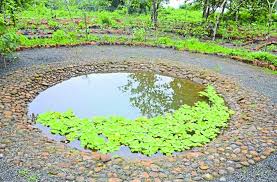 Antelopes roaming in search of water; The water bodies in the Hiraj area filled up | पाण्याच्या शोधात काळविटांची सैरभैर; हिरज परिसरातील पाणवटे भरले Antelopes roaming in search of water; The water bodies in the Hiraj area filled up | पाण्याच्या शोधात काळविटांची सैरभैर; हिरज परिसरातील पाणवटे भरले