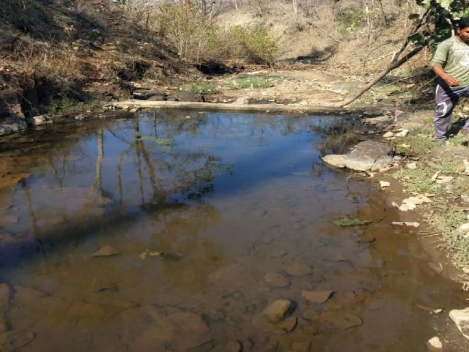 'Alert' on water bodies in tiger reserve in Vidarbha; fear of poisoning, Forest staff deployed on natural, artificial water bodies | विदर्भात पाणवठ्यांवर ‘अलर्ट’, विषप्रयोगाची भीती; नैसर्गिक, कृत्रिम पाणवठ्यांवर वन कर्मचारी तैनात 'Alert' on water bodies in tiger reserve in Vidarbha; fear of poisoning, Forest staff deployed on natural, artificial water bodies | विदर्भात पाणवठ्यांवर ‘अलर्ट’, विषप्रयोगाची भीती; नैसर्गिक, कृत्रिम पाणवठ्यांवर वन कर्मचारी तैनात