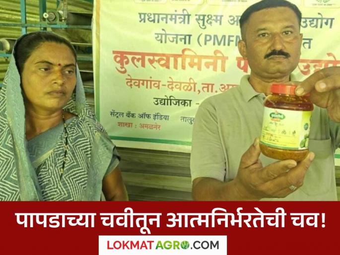 Latest News women Farmer Earning Rs 70 thousand per month from papad industry, read success story | Farmer Success Story : पापड उद्योगातून महिन्याला 70 हजार रुपयांची कमाई, वाचा यशोगाथा 