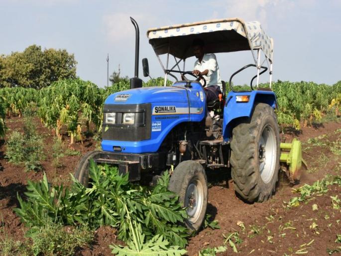 Khapasgaon Shiva threatens the area due to lack of water in Papaya | खोडसगाव शिवारात पाण्याअभावी पपईचे क्षेत्र धोक्यात Khapasgaon Shiva threatens the area due to lack of water in Papaya | खोडसगाव शिवारात पाण्याअभावी पपईचे क्षेत्र धोक्यात