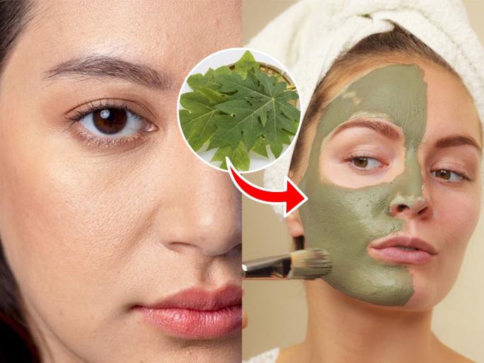 Papaya Leaves FaceMask For Open Pors papaya leaves for open pores natural open pores treatment papaya leaves skincare papaya leaves benefits for skin | पपईच्या पानांचा ‘असा’ फेसमास्क लावा, चेहऱ्यावर येईल सोनसळी सौंदर्य -ओपन पाेर्स कायमचे जातील...