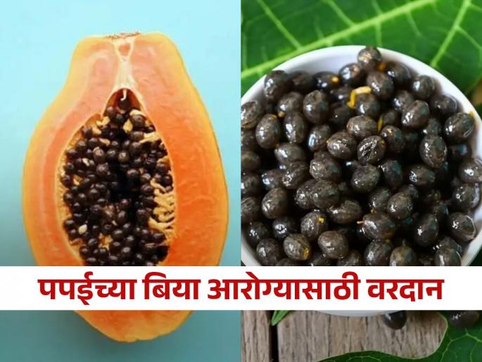 Benefits of eating papaya seeds, know how to consume it | फेकण्याआधी पाहा किती फायदेशीर असतात पपईच्या बिया, शरीराच्या कितीतरी समस्या होतील दूर