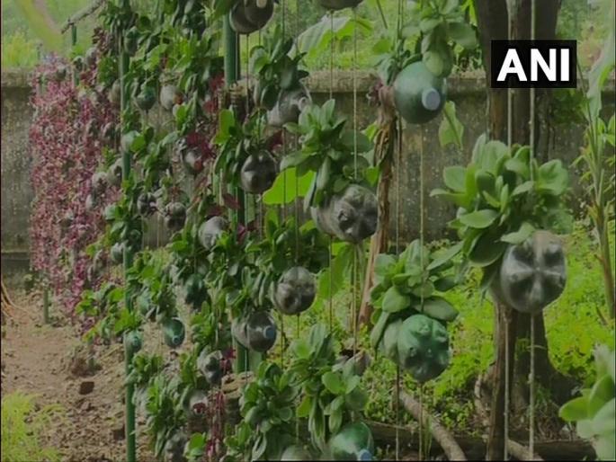 west bengal pirakata forest range officer makes garden with plastic bottles and rubber tyres | कौतुकास्पद! तब्बल 1100 प्लास्टिक बॉटल्स आणि टायरच्या मदतीने फुलवली बाग west bengal pirakata forest range officer makes garden with plastic bottles and rubber tyres | कौतुकास्पद! तब्बल 1100 प्लास्टिक बॉटल्स आणि टायरच्या मदतीने फुलवली बाग