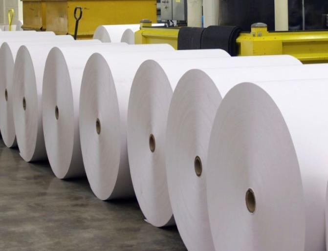 Cutting of trees, paper is produced, the illusion | झाडे कापून कागद निर्मिती होते, हा भ्रम Cutting of trees, paper is produced, the illusion | झाडे कापून कागद निर्मिती होते, हा भ्रम