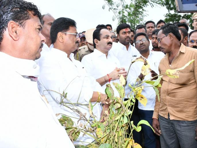 Will present a proposal for increased assistance before the cabinet; Relief and Rehabilitation Minister Makarand Patil assures | वाढीव मदतीचा प्रस्ताव कॅबिनेटसमोर मांडू; मंत्री मकरंद पाटील यांचे शेतकऱ्यांना आश्वासन Will present a proposal for increased assistance before the cabinet; Relief and Rehabilitation Minister Makarand Patil assures | वाढीव मदतीचा प्रस्ताव कॅबिनेटसमोर मांडू; मंत्री मकरंद पाटील यांचे शेतकऱ्यांना आश्वासन