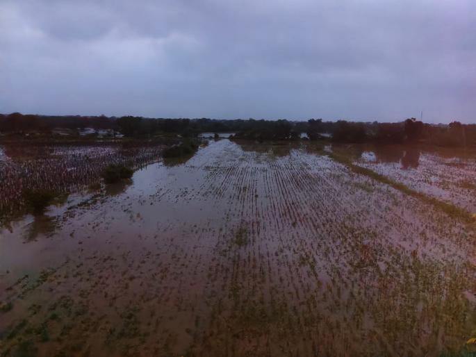 The sky burst in Parbhani district; Water in houses, floods in fields, roads closed, 112 mm rainfall in Pethshivni | परभणी जिल्ह्यात आभाळ फाटले; घरांत पाणी, शेतात पूर, रस्ते बंद, पेठशिवणीत ११२ मिमी पाऊस