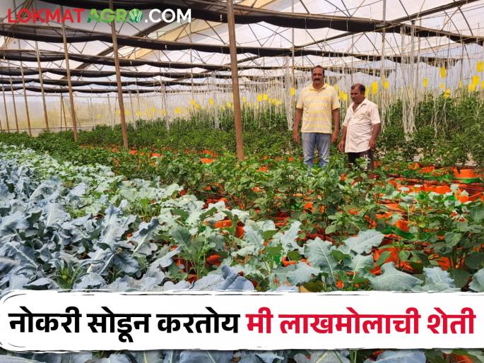 Gadganj quit his salaried foreign job and created his own agricultural brand | गडगंज पगाराची विदेशी नोकरी सोडून तयार केला स्वतःचा शेतमाल ब्रँड Gadganj quit his salaried foreign job and created his own agricultural brand | गडगंज पगाराची विदेशी नोकरी सोडून तयार केला स्वतःचा शेतमाल ब्रँड