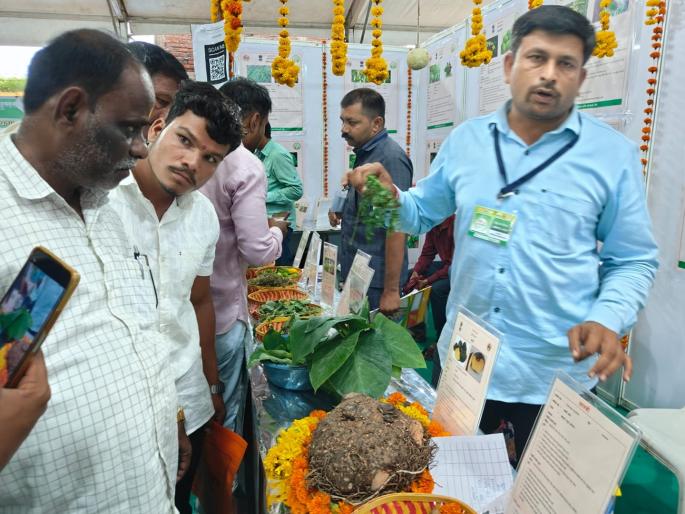 Parali's state-level agricultural exhibition turned out to be an eye-catcher, with thousands of farmers visiting the area | परळीचे राज्यस्तरीय कृषी प्रदर्शन ठरले लक्षवेधी, हजारो शेतकऱ्यांच्या भेटीने परिसर फुलला Parali's state-level agricultural exhibition turned out to be an eye-catcher, with thousands of farmers visiting the area | परळीचे राज्यस्तरीय कृषी प्रदर्शन ठरले लक्षवेधी, हजारो शेतकऱ्यांच्या भेटीने परिसर फुलला