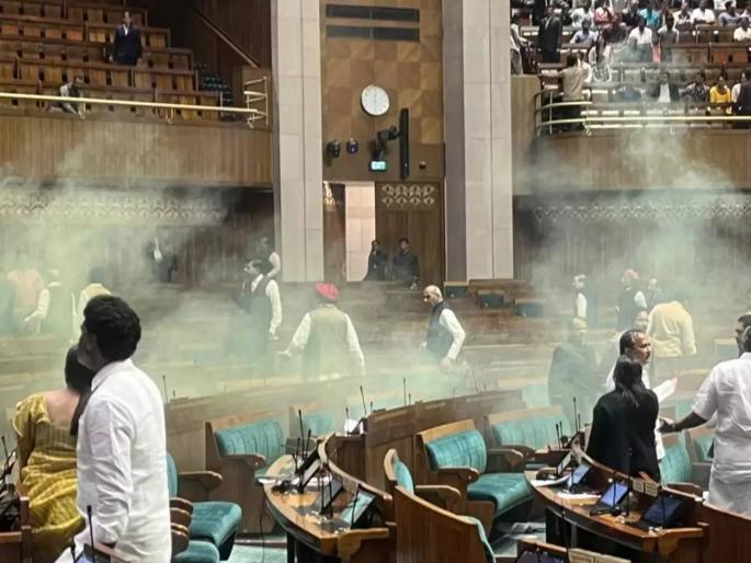 Confusion in Parliament 14 MPs suspended, security harmed Action against 8 Police | संसदेत गोंधळ : १४ खासदार निलंबित, सुरक्षेत हयगय; ८ पोलिसांवर कारवाई