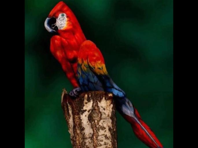 find woman in the picture optical illusion picture | केवळ ७ सेकंदात या फोटोतील महिला शोधा! सापडली तर तुम्ही खरे जिनियस