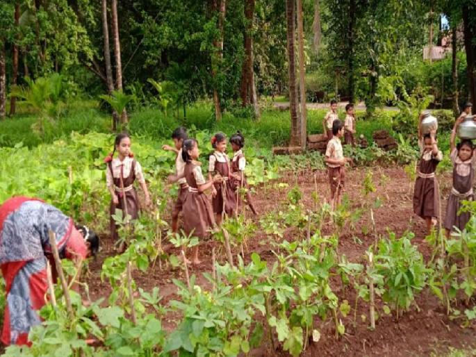 Parsbagh flourished in 2480 schools of Zilla Parishad in Ratnagiri; Inclusion in nutrition by planting vegetables | रत्नागिरीतील जिल्हा परिषदेच्या २४८० शाळांमध्ये फुलली परसबाग; भाज्यांची लागवड करुन पोषण आहारात समावेश Parsbagh flourished in 2480 schools of Zilla Parishad in Ratnagiri; Inclusion in nutrition by planting vegetables | रत्नागिरीतील जिल्हा परिषदेच्या २४८० शाळांमध्ये फुलली परसबाग; भाज्यांची लागवड करुन पोषण आहारात समावेश