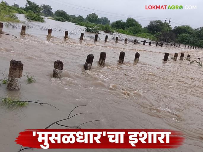 Maharashtra Rain Alert : The return monsoon is strong; Heavy rains will fall in these districts of the state today and tomorrow | Maharashtra Rain Alert : परतीचा मान्सून जोरदार; राज्यात आज व उद्या 'या' जिल्ह्यांत पडणार मुसळधार पाऊस Maharashtra Rain Alert : The return monsoon is strong; Heavy rains will fall in these districts of the state today and tomorrow | Maharashtra Rain Alert : परतीचा मान्सून जोरदार; राज्यात आज व उद्या 'या' जिल्ह्यांत पडणार मुसळधार पाऊस