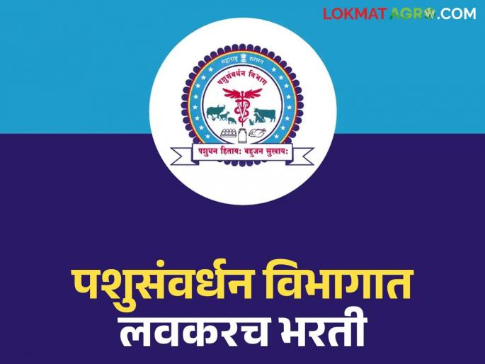 Big recruitment for this post in Animal Husbandry Department; 2795 vacant posts to be filled soon | पशुसंवर्धन विभागात या पदासाठी मोठी भरती; २७९५ रिक्त पदे लवकरच भरणार Big recruitment for this post in Animal Husbandry Department; 2795 vacant posts to be filled soon | पशुसंवर्धन विभागात या पदासाठी मोठी भरती; २७९५ रिक्त पदे लवकरच भरणार