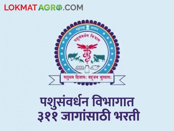 Decision to recruit 311 more vacancies for this post in Animal Husbandry Department; Read in detail | पशुसंवर्धन विभागात या पदासाठी अजून ३११ जागांची भरती करण्याचा निर्णय; वाचा सविस्तर