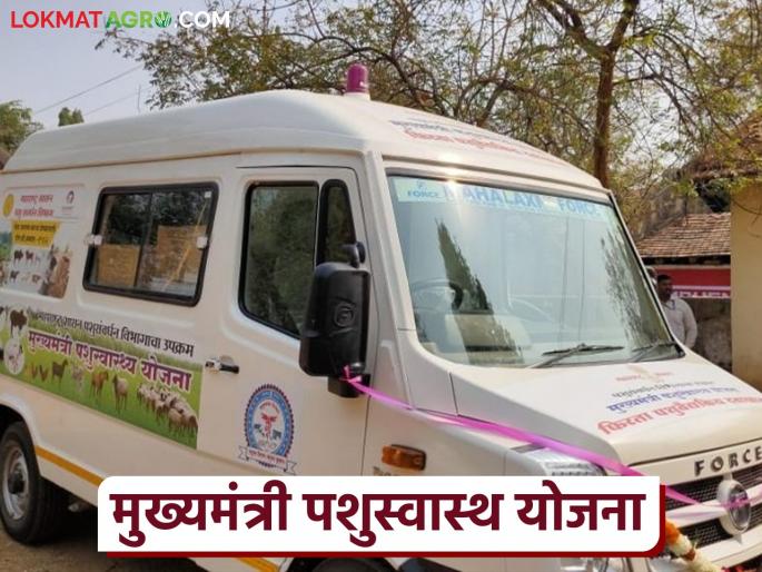 Latest News Now graduates opportunity to replace veterinary officers on mobile veterinary team | आता फिरते पशुचिकित्सा पथकावर पशुवैद्यकीय अधिकाऱ्यांऐवजी यांना मिळणार संधी Latest News Now graduates opportunity to replace veterinary officers on mobile veterinary team | आता फिरते पशुचिकित्सा पथकावर पशुवैद्यकीय अधिकाऱ्यांऐवजी यांना मिळणार संधी