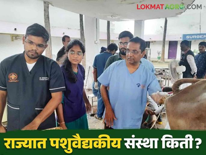 Animal Husbandry : Read in detail what will be the impact of restructuring of animal husbandry | Animal Husbandry : पशुसंवर्धनाच्या पुनर्रचनेचा काय होणार परिणाम वाचा सविस्तर