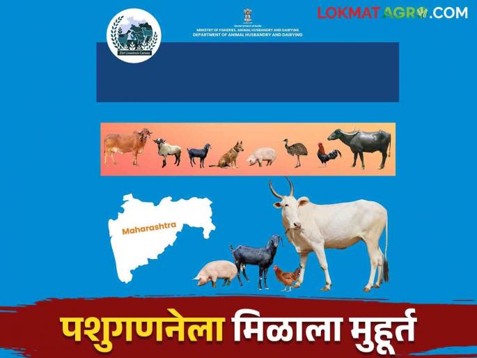 21st livestock census will start from 25th October please farmers give real information | Pashu Ganana 2024 : २१ वी पशुगणनेला २५ ऑक्टोबरपासून होणार सुरवात पशुपालाकांनी खरी माहिती द्या 21st livestock census will start from 25th October please farmers give real information | Pashu Ganana 2024 : २१ वी पशुगणनेला २५ ऑक्टोबरपासून होणार सुरवात पशुपालाकांनी खरी माहिती द्या