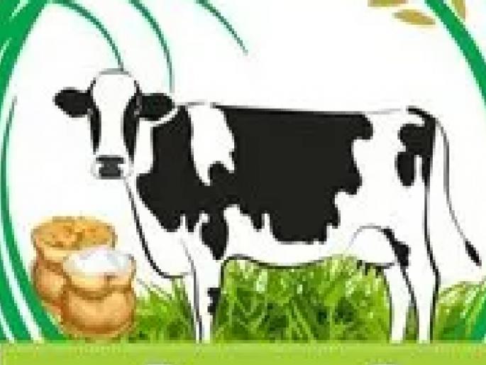 Prices of animal feed, medicines increased by 40 percent | पशुखाद्य, औषधांचे दर तब्बल ४० टक्के वाढले, दूध उत्पादक शेतकरी महागाईने हैराण