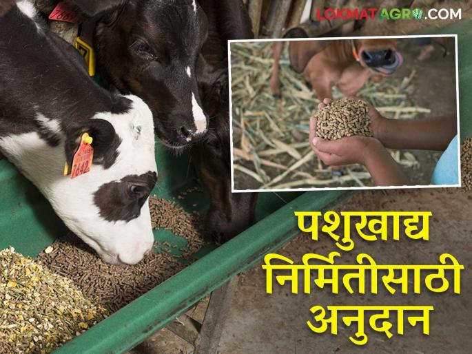 Loans of up to Rs 50 lakh are available for the animal feed manufacturing industry under this scheme; Read in detail | पशुखाद्य निर्मिती उद्योगासाठी या योजनेतून मिळतंय ५० लाखांपर्यंत कर्ज; वाचा सविस्तर Loans of up to Rs 50 lakh are available for the animal feed manufacturing industry under this scheme; Read in detail | पशुखाद्य निर्मिती उद्योगासाठी या योजनेतून मिळतंय ५० लाखांपर्यंत कर्ज; वाचा सविस्तर