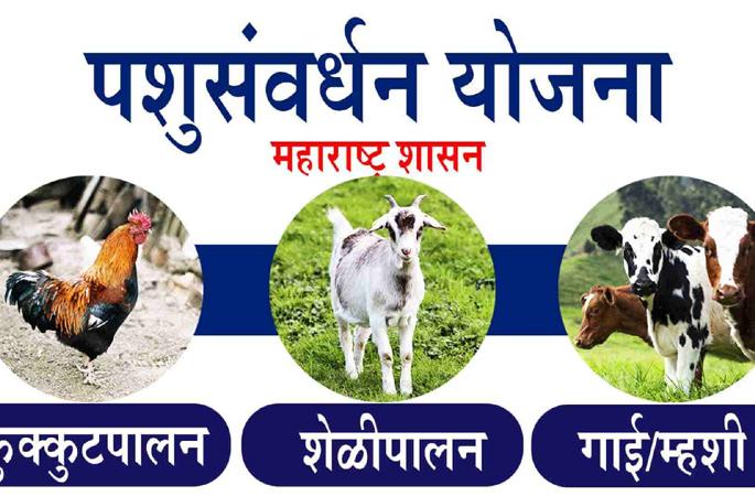 Oh my God ... I didn't get any grant | अरे बाप रे.... अनुदानच मिळाले नाही अन्  लाभार्थ्यांचे अर्ज आले १६ हजार Oh my God ... I didn't get any grant | अरे बाप रे.... अनुदानच मिळाले नाही अन्  लाभार्थ्यांचे अर्ज आले १६ हजार
