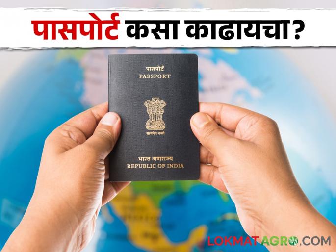 Want to go abroad, how to get a passport immediately? | Passport Online परदेशात जायचंय, तत्काळ पासपोर्ट हवाय कसा मिळेल? Want to go abroad, how to get a passport immediately? | Passport Online परदेशात जायचंय, तत्काळ पासपोर्ट हवाय कसा मिळेल?
