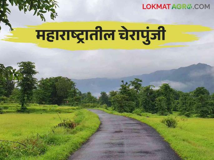 Read more about this village which is the highest rainfall in Maharashtra so far | आतापर्यंत महाराष्ट्रात सर्वाधिक पाऊस पडला या गावात वाचा सविस्तर