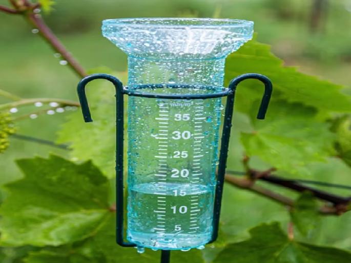 Patharpunjla rain gauge system collapsed again | Sangli: पाथरपुंजला पर्जन्यमापन यंत्रणा पुन्हा कोलमडली, पूर्वीप्रमाणे मॅन्युअल नोंद Patharpunjla rain gauge system collapsed again | Sangli: पाथरपुंजला पर्जन्यमापन यंत्रणा पुन्हा कोलमडली, पूर्वीप्रमाणे मॅन्युअल नोंद