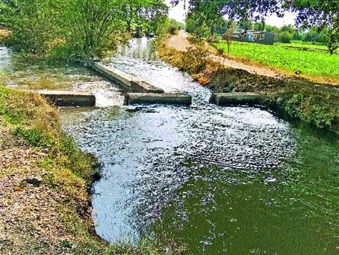 Drought struck and got saved by the sanctions | दुष्काळाने मारले आणि पाटबंधारेने तारले Drought struck and got saved by the sanctions | दुष्काळाने मारले आणि पाटबंधारेने तारले