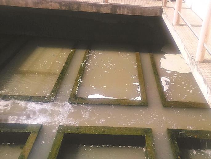 Pathardi, Shevgaon taluka sick due to contaminated water | दूषित पाण्यामुळे पाथर्डी, शेवगाव तालुके आजारी Pathardi, Shevgaon taluka sick due to contaminated water | दूषित पाण्यामुळे पाथर्डी, शेवगाव तालुके आजारी